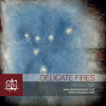 Delicate Fires Cover SQUARE